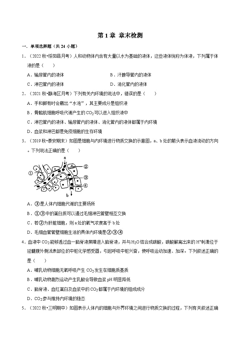 第1章 章末检测（原卷版）第1页