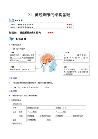 人教版 (2019)选择性必修1第1节 神经调节的结构基础精品课时练习