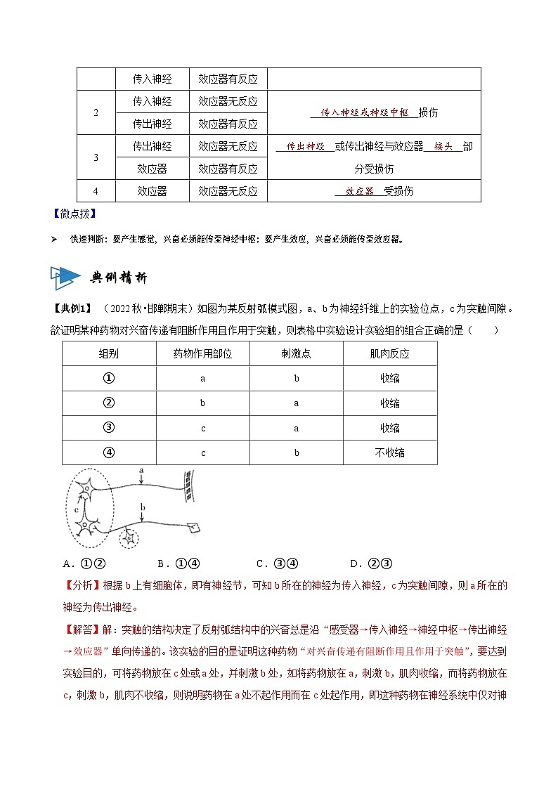 2.2 神经调节的基本方式 （讲义）-2023-2024学年高二生物同步讲练测（人教版选择性必修1）02