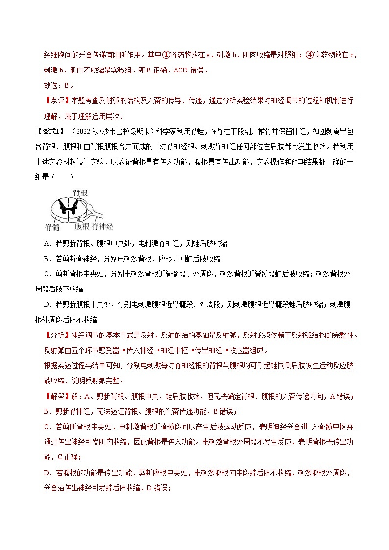 2.2 神经调节的基本方式 （讲义）-2023-2024学年高二生物同步讲练测（人教版选择性必修1）03