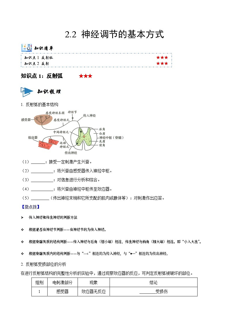 2.2 神经调节的基本方式 （讲义）-2023-2024学年高二生物同步讲练测（人教版选择性必修1）01