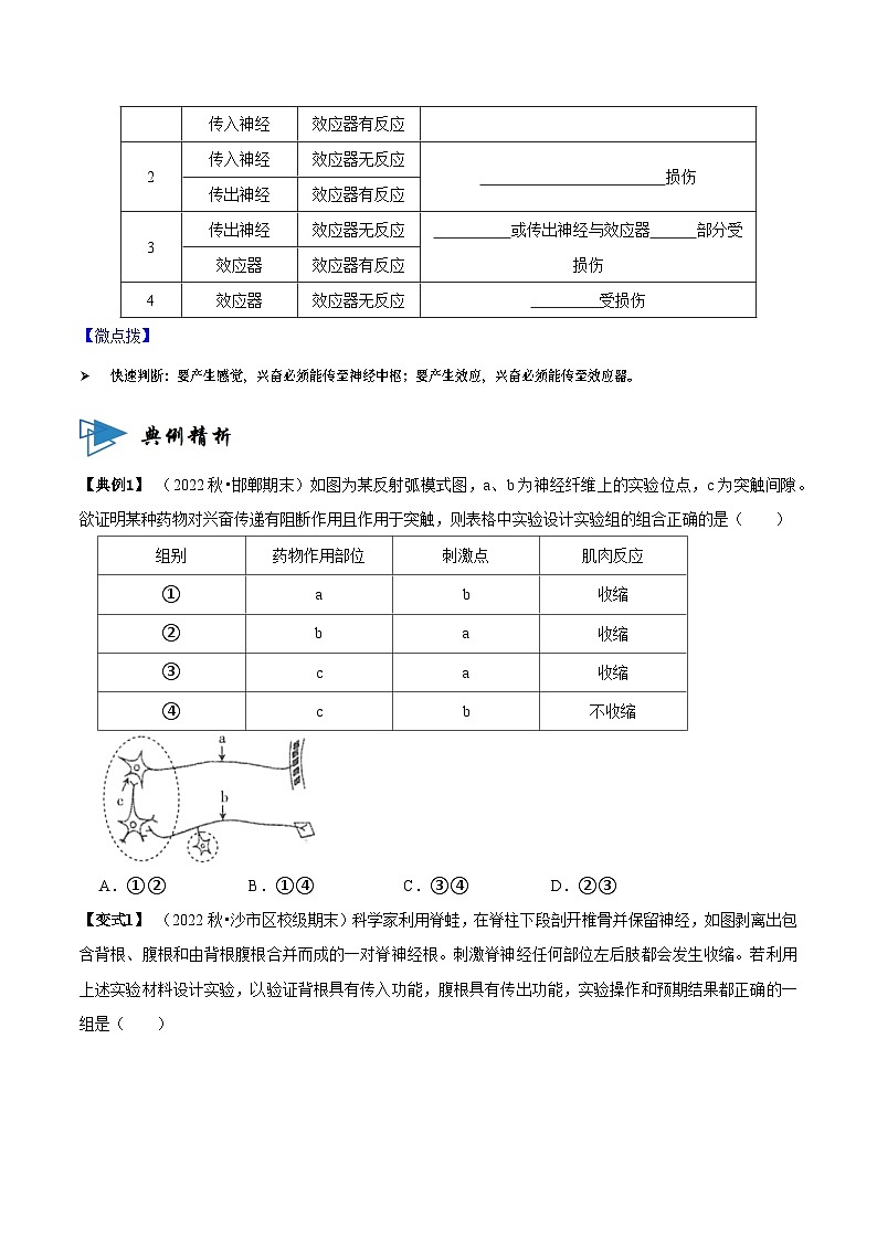 2.2 神经调节的基本方式 （讲义）-2023-2024学年高二生物同步讲练测（人教版选择性必修1）02