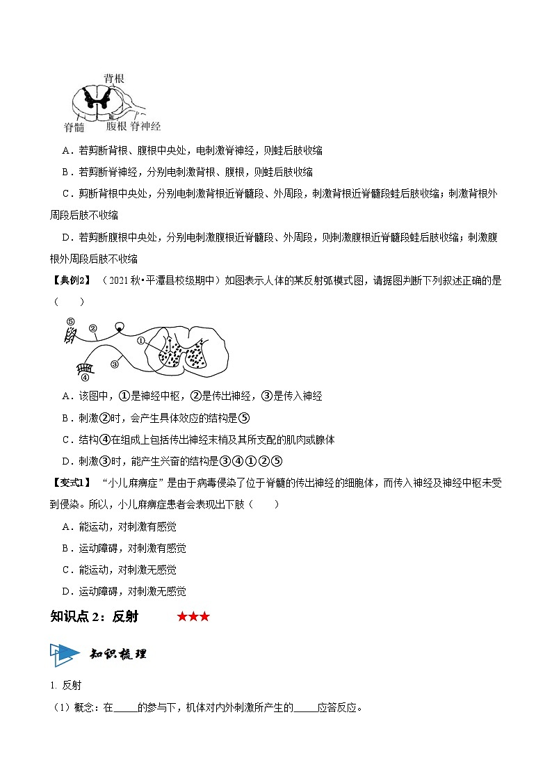 2.2 神经调节的基本方式 （讲义）-2023-2024学年高二生物同步讲练测（人教版选择性必修1）03