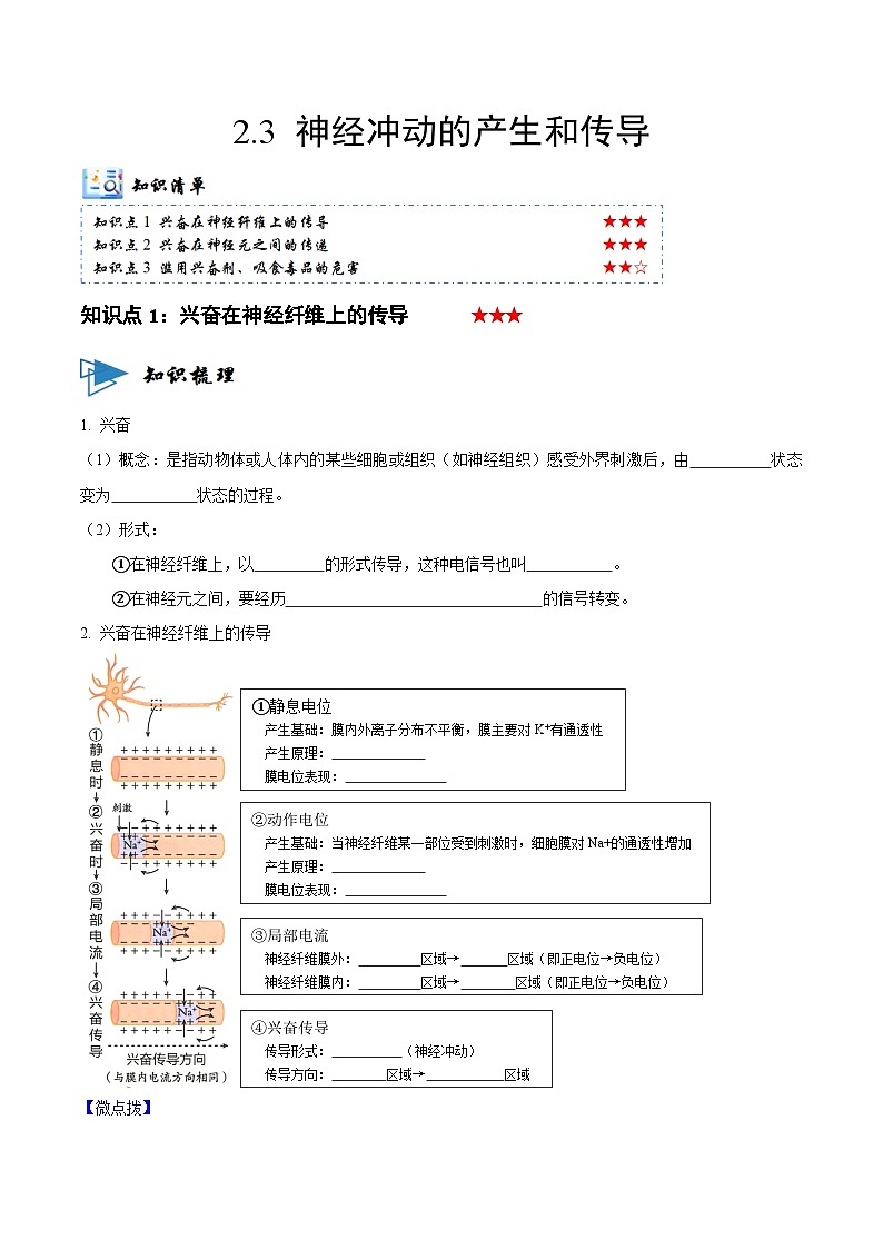 2.3 神经冲动的产生和传导 （讲义）-2023-2024学年高二生物同步讲练测（人教版选择性必修1）01