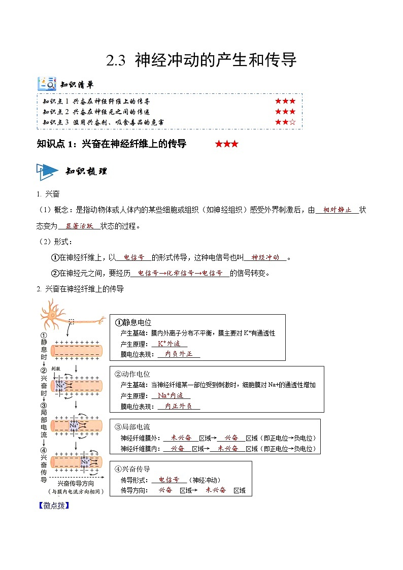 2.3 神经冲动的产生和传导 （讲义）-2023-2024学年高二生物同步讲练测（人教版选择性必修1）01