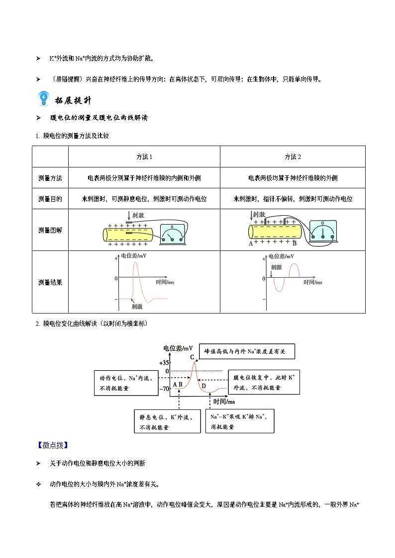 2.3 神经冲动的产生和传导 （讲义）-2023-2024学年高二生物同步讲练测（人教版选择性必修1）02