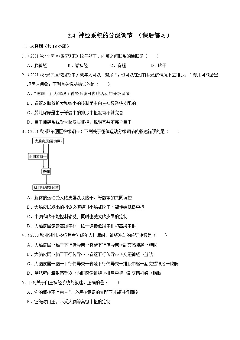 2.4 神经系统的分级调节 （课后练习）-2023-2024学年高二生物同步讲练测（人教版选择性必修1）01