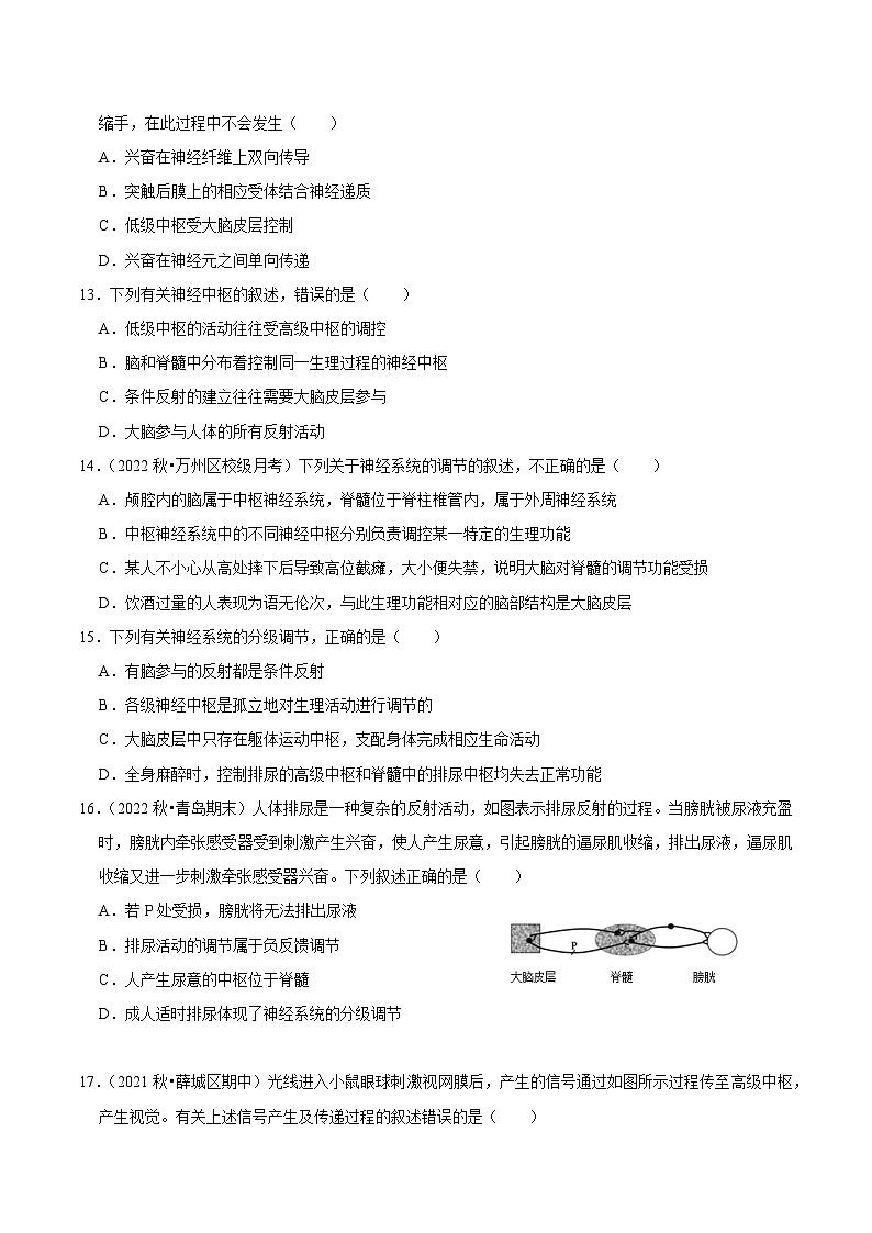 2.4 神经系统的分级调节 （课后练习）-2023-2024学年高二生物同步讲练测（人教版选择性必修1）03
