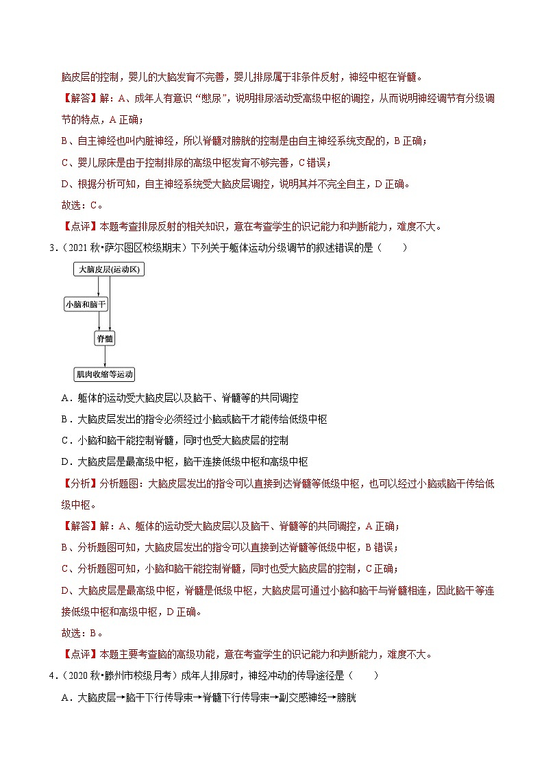 2.4 神经系统的分级调节 （课后练习）-2023-2024学年高二生物同步讲练测（人教版选择性必修1）02