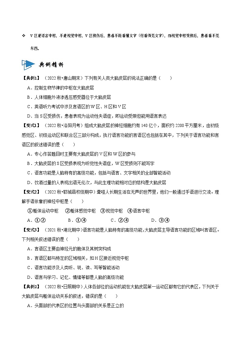 2.5 人脑的高级功能（讲义）（原卷版）第2页