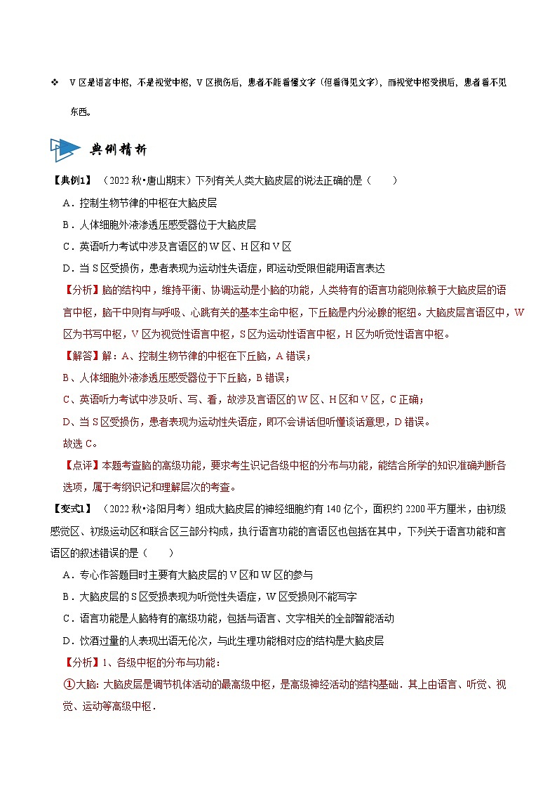 2.5 人脑的高级功能（讲义）（解析版）第2页