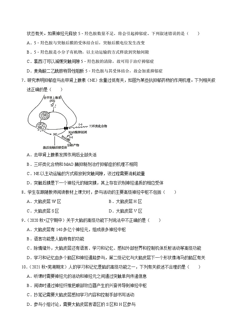2.5 人脑的高级功能 （课后练习）（原卷版）第2页