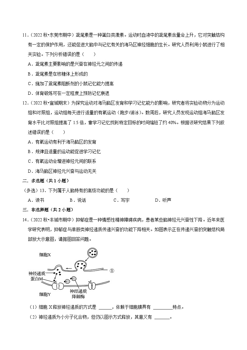 2.5 人脑的高级功能 （课后练习）（原卷版）第3页