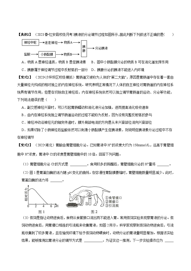 3.1 激素与内分泌系统（讲义）-2023-2024学年高二生物同步讲练测（人教版选择性必修1）03