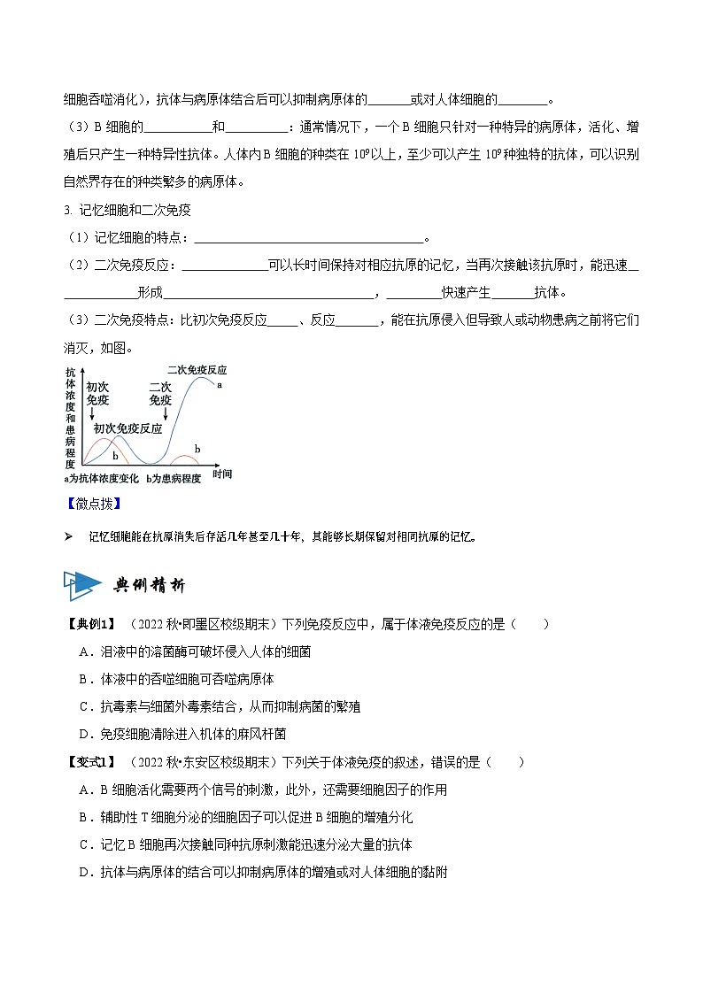 4.2 特异性免疫（讲义）-2023-2024学年高二生物同步讲练测（人教版选择性必修1）02