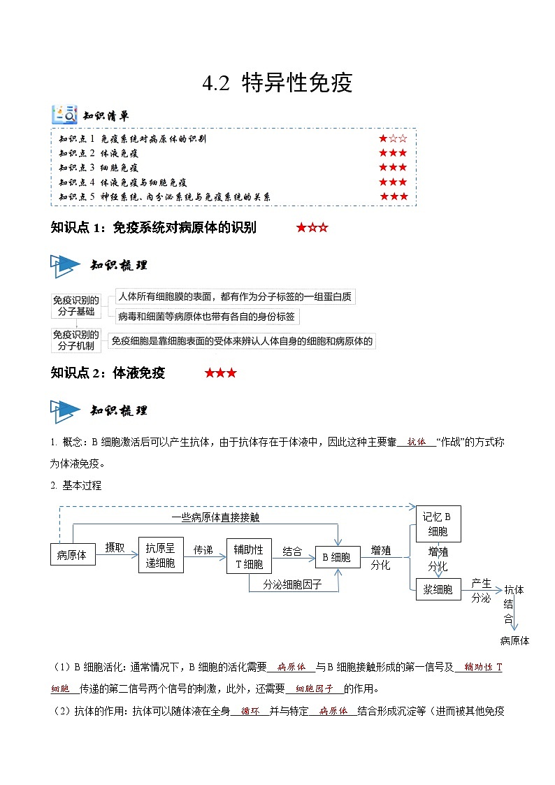 4.2 特异性免疫（讲义）-2023-2024学年高二生物同步讲练测（人教版选择性必修1）01