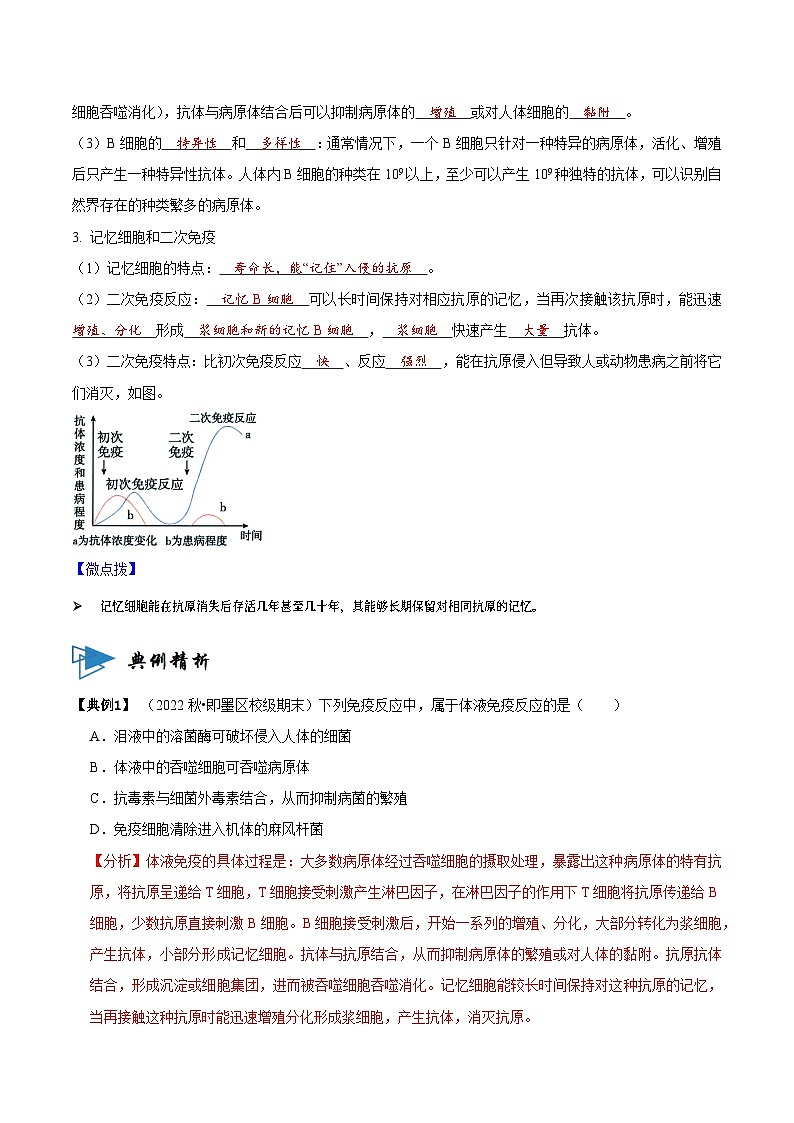 4.2 特异性免疫（讲义）-2023-2024学年高二生物同步讲练测（人教版选择性必修1）02