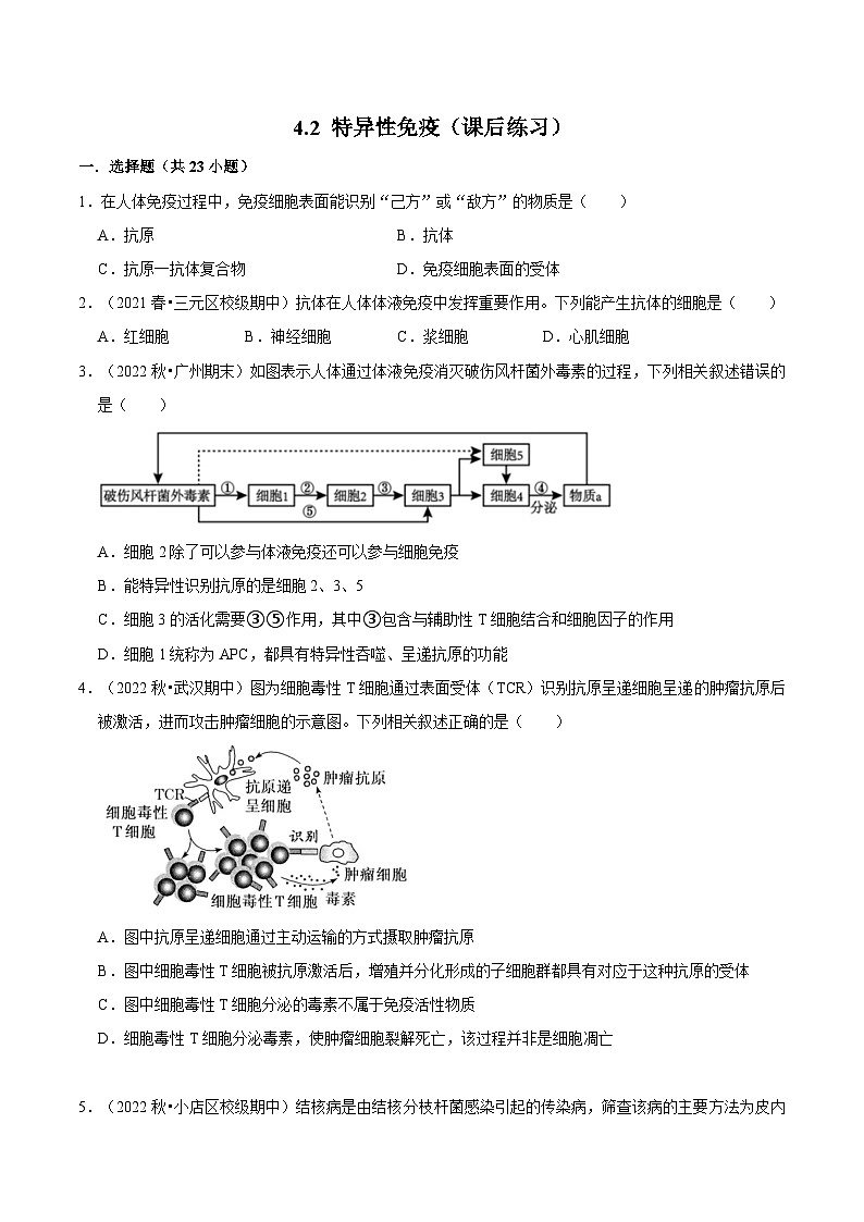 4.2 特异性免疫（课后练习）-2023-2024学年高二生物同步讲练测（人教版选择性必修1）01