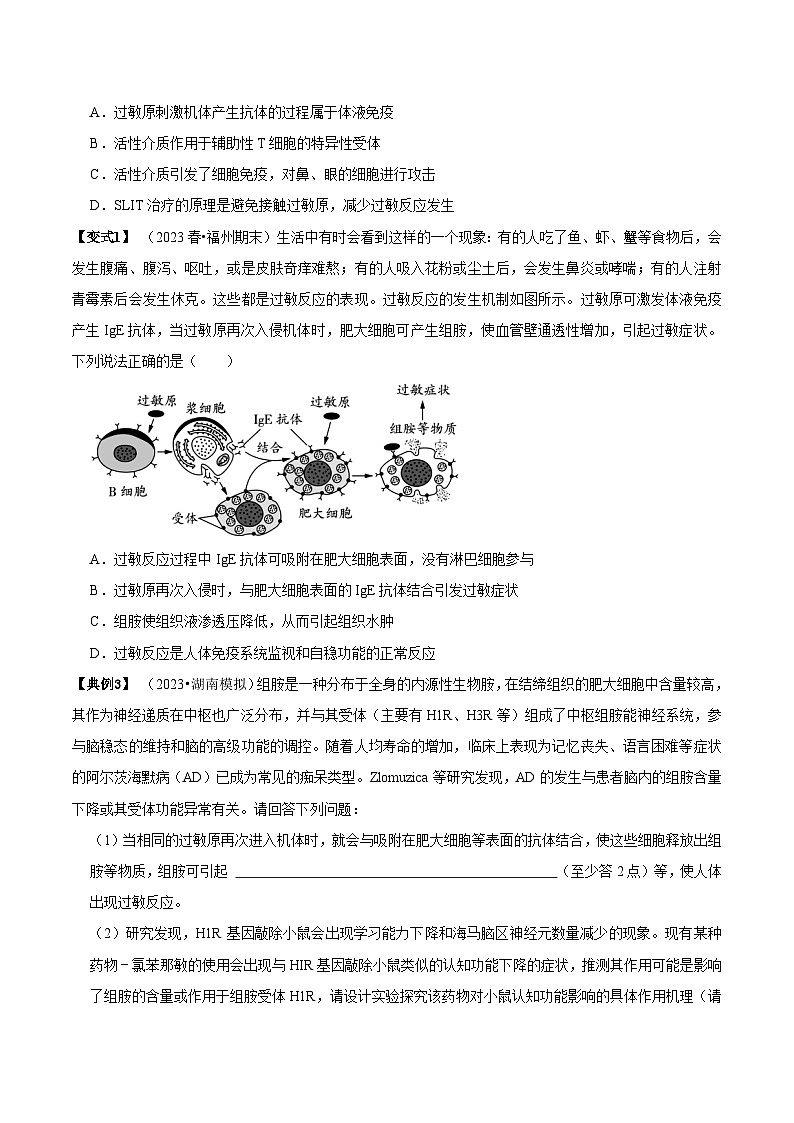 4.3 免疫失调（讲义）-2023-2024学年高二生物同步讲练测（人教版选择性必修1）03