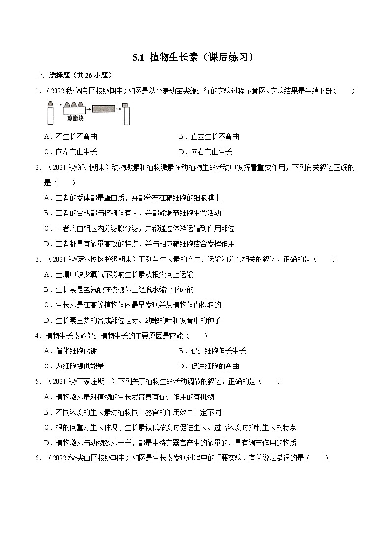 5.1 植物生长素（课后练习）-2023-2024学年高二生物同步讲练测（人教版选择性必修1）01