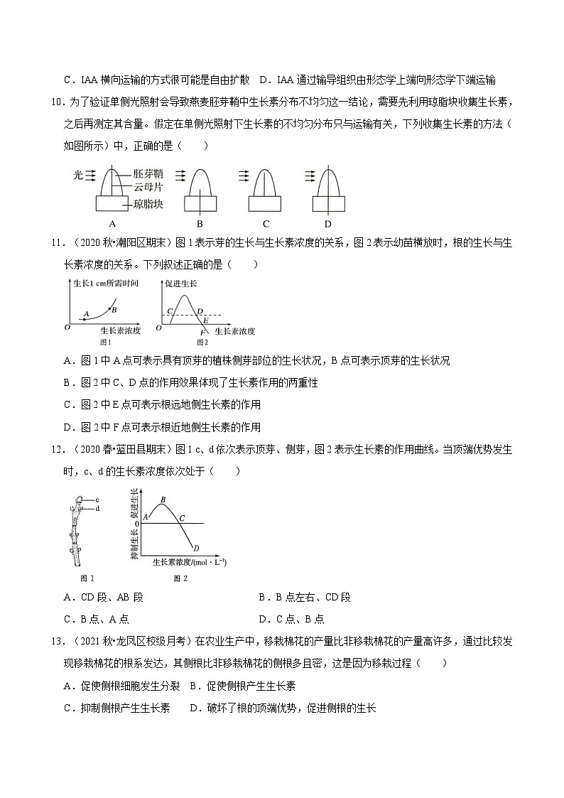 5.1 植物生长素（课后练习）-2023-2024学年高二生物同步讲练测（人教版选择性必修1）03