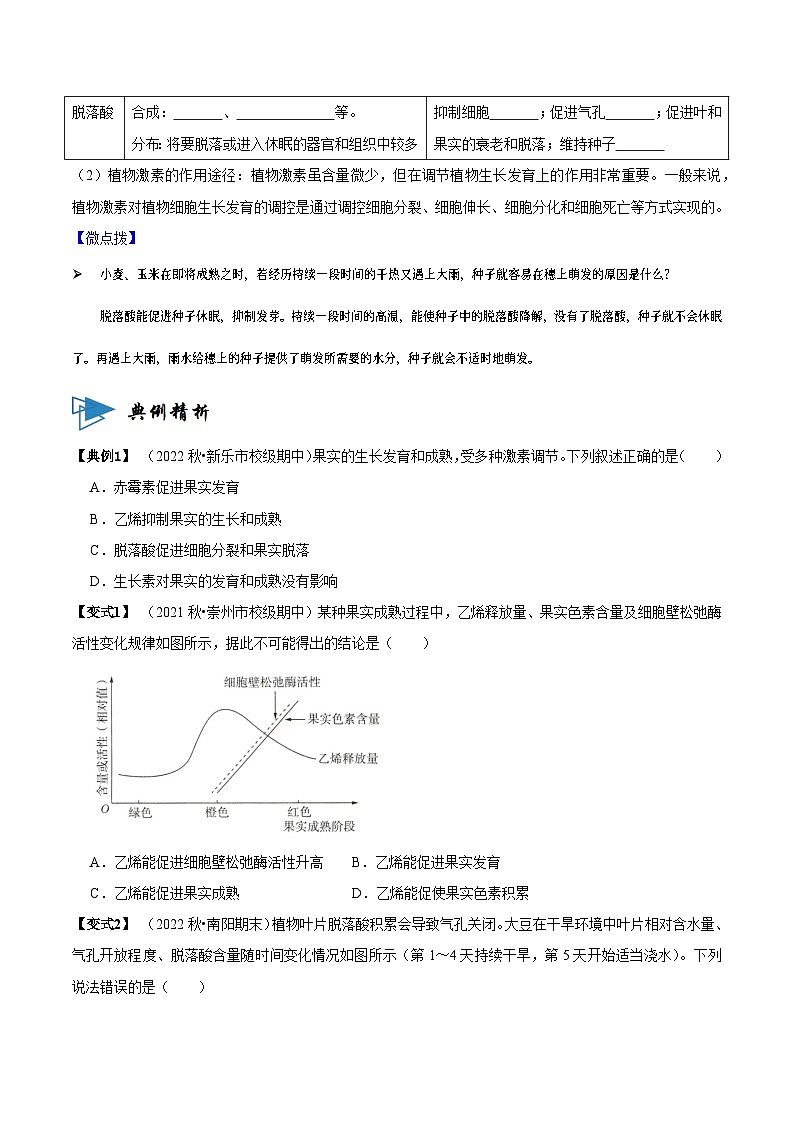 5.2 其他植物激素（讲义）-2023-2024学年高二生物同步讲练测（人教版选择性必修1）02