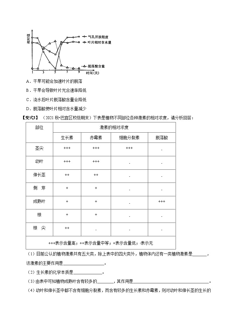 5.2 其他植物激素（讲义）-2023-2024学年高二生物同步讲练测（人教版选择性必修1）03
