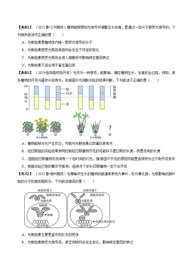 5.4 环境因素参与调节植物的生命活动（讲义）-2023-2024学年高二生物同步讲练测（人教版选择性必修1）02