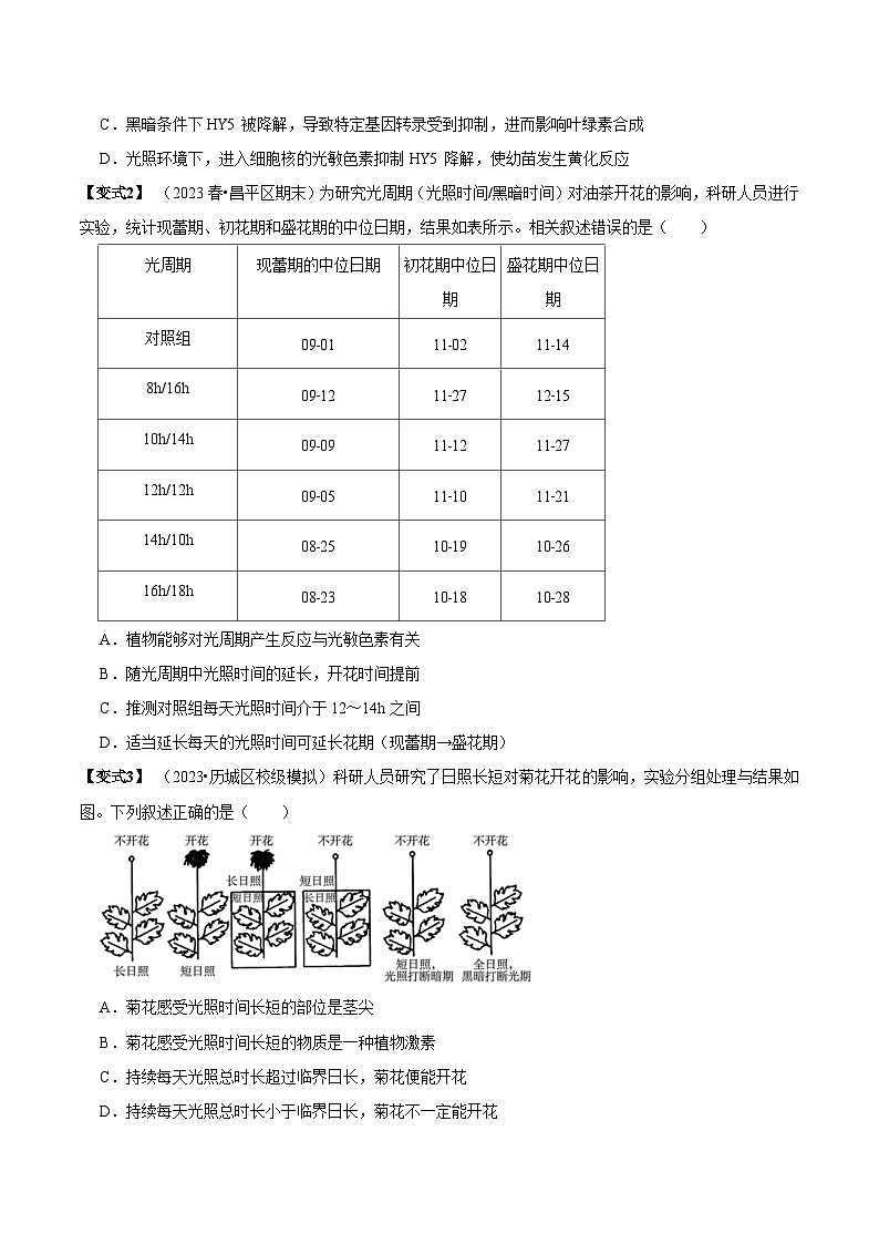 5.4 环境因素参与调节植物的生命活动（讲义）-2023-2024学年高二生物同步讲练测（人教版选择性必修1）03