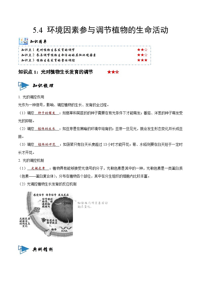5.4 环境因素参与调节植物的生命活动（讲义）-2023-2024学年高二生物同步讲练测（人教版选择性必修1）01