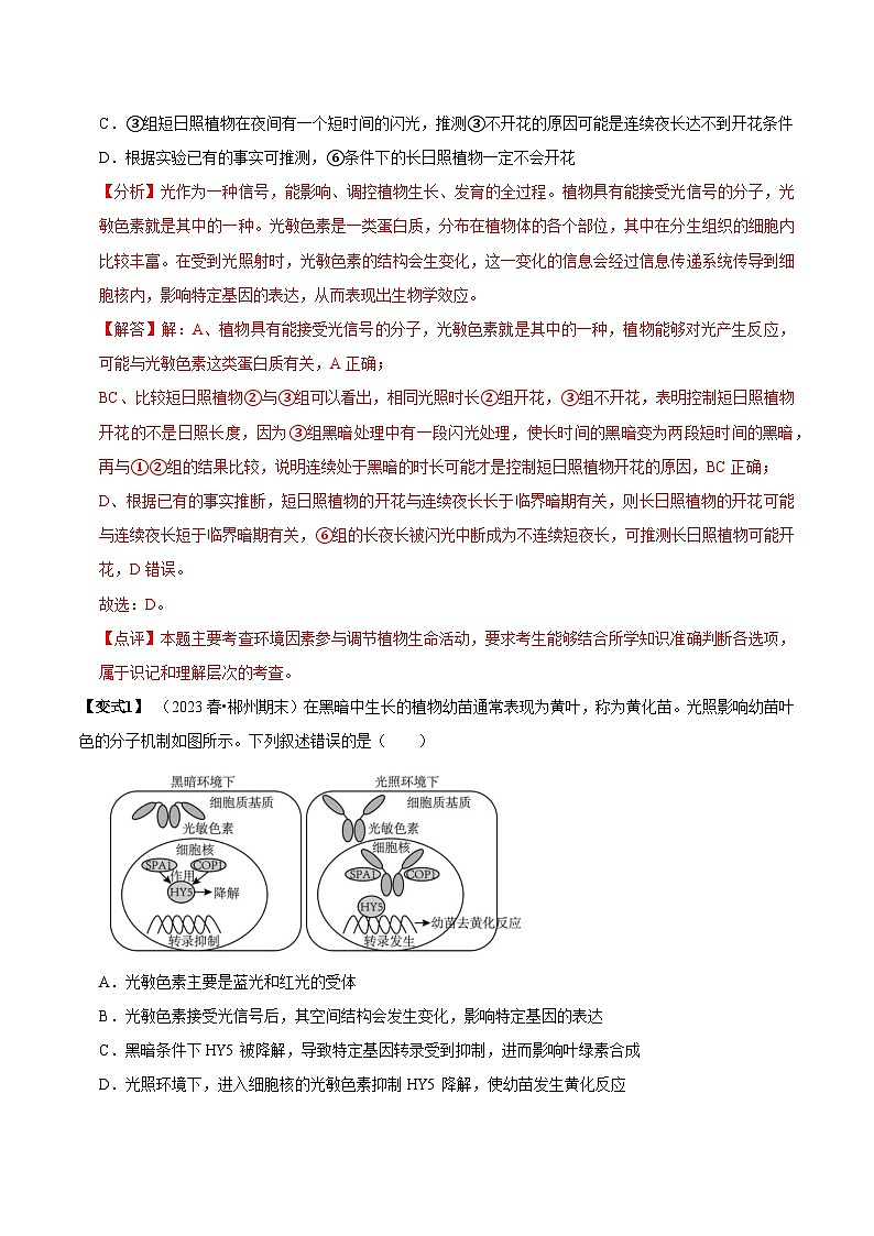 5.4 环境因素参与调节植物的生命活动（讲义）-2023-2024学年高二生物同步讲练测（人教版选择性必修1）03