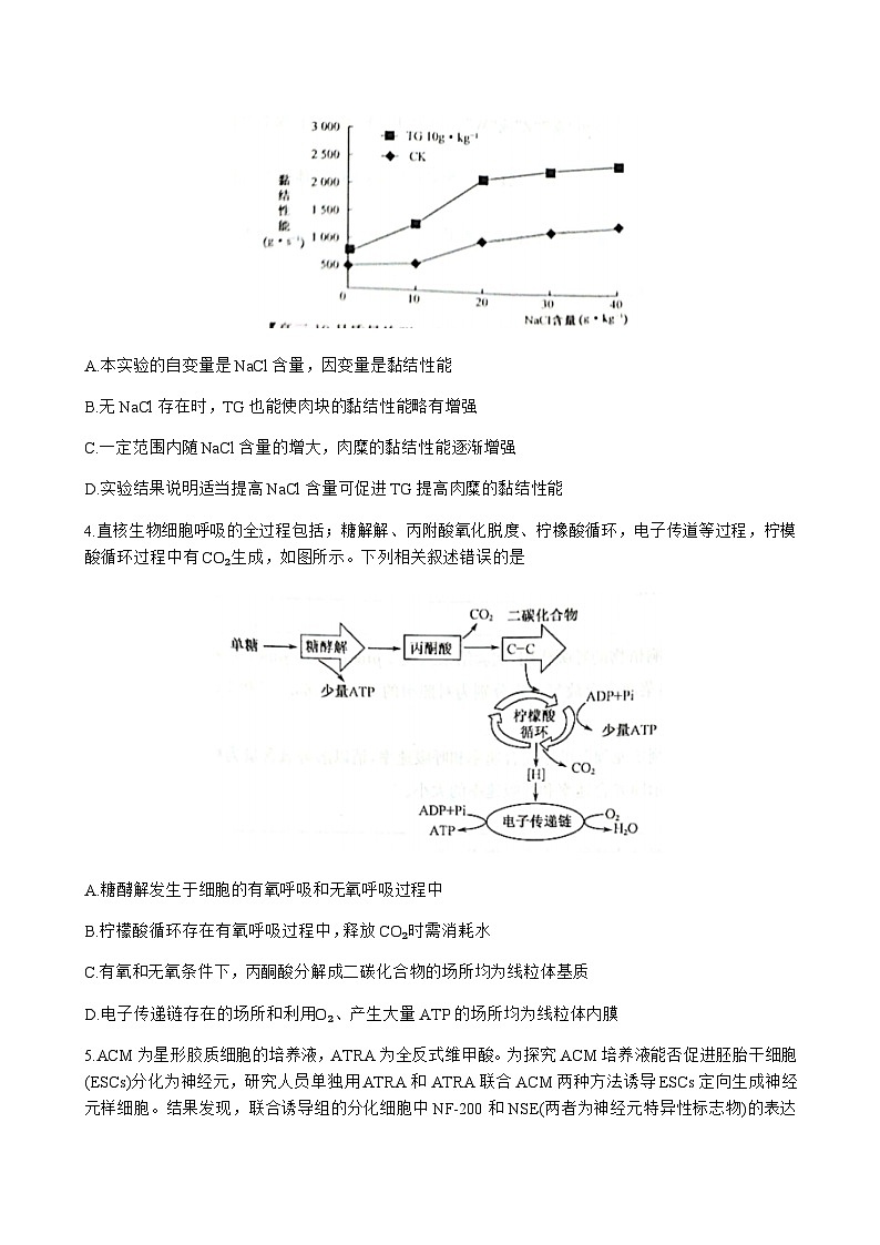 2024届河南省郑州市第一中学九师联盟高三上学期10月质量检测生物含答案02