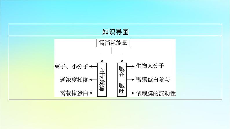 新教材2024版高中生物第4章细胞的物质输入和输出第2节主动运输与胞吞胞吐课件新人教版必修1第3页