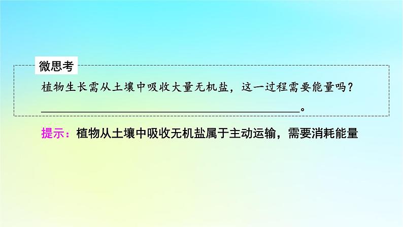 新教材2024版高中生物第4章细胞的物质输入和输出第2节主动运输与胞吞胞吐课件新人教版必修1第7页