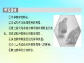 新教材2024版高中生物第1章种群及其动态第1节种群的数量特征课件新人教版选择性必修2