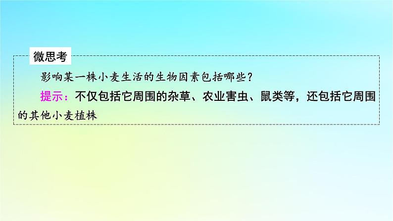 新教材2024版高中生物第1章种群及其动态第3节影响种群数量变化的因素课件新人教版选择性必修2第8页