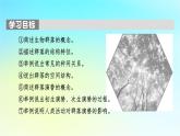 新教材2024版高中生物第2章群落及其演替第1节群落的结构课件新人教版选择性必修2