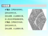 新教材2024版高中生物第2章群落及其演替第1节群落的结构课件新人教版选择性必修2
