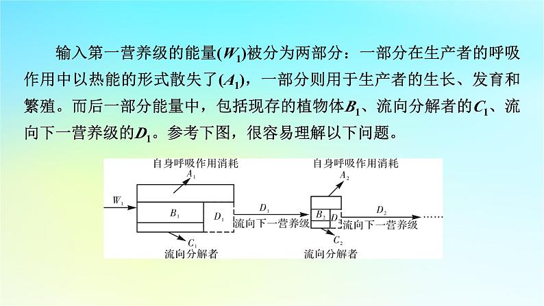 新教材2024版高中生物第3章生态系统及其稳定性微专题2利用“拼图法”解决能量流动中的难题课件新人教版选择性必修202