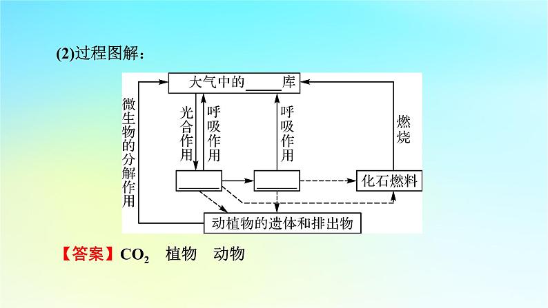 新教材2024版高中生物第3章生态系统及其稳定性第3节生态系统的物质循环课件新人教版选择性必修2第8页