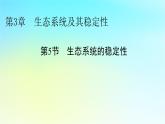 新教材2024版高中生物第3章生态系统及其稳定性第5节生态系统的稳定性课件新人教版选择性必修2