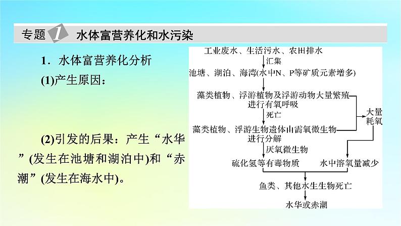 新教材2024版高中生物第4章人与环境章末总结课件新人教版选择性必修205