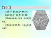 新教材2024版高中生物第4章人与环境第1节人类活动对生态环境的影响课件新人教版选择性必修2
