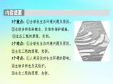 新教材2024版高中生物第4章人与环境第1节人类活动对生态环境的影响课件新人教版选择性必修2
