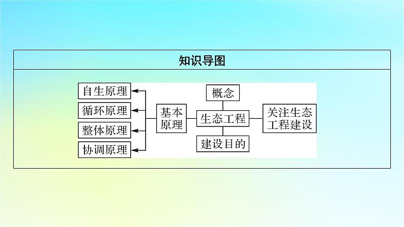 新教材2024版高中生物第4章人与环境第3节生态工程1生态工程的基本原理课件新人教版选择性必修2第3页