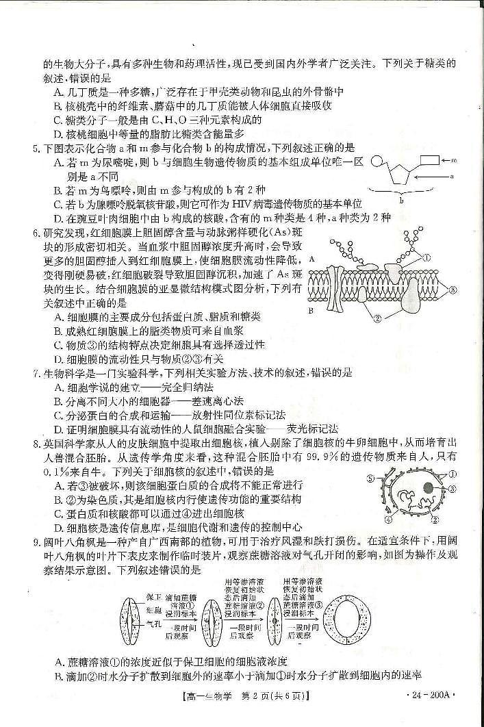 广西名校联盟2023-2024学年高一上学期阶段性联考生物第2页