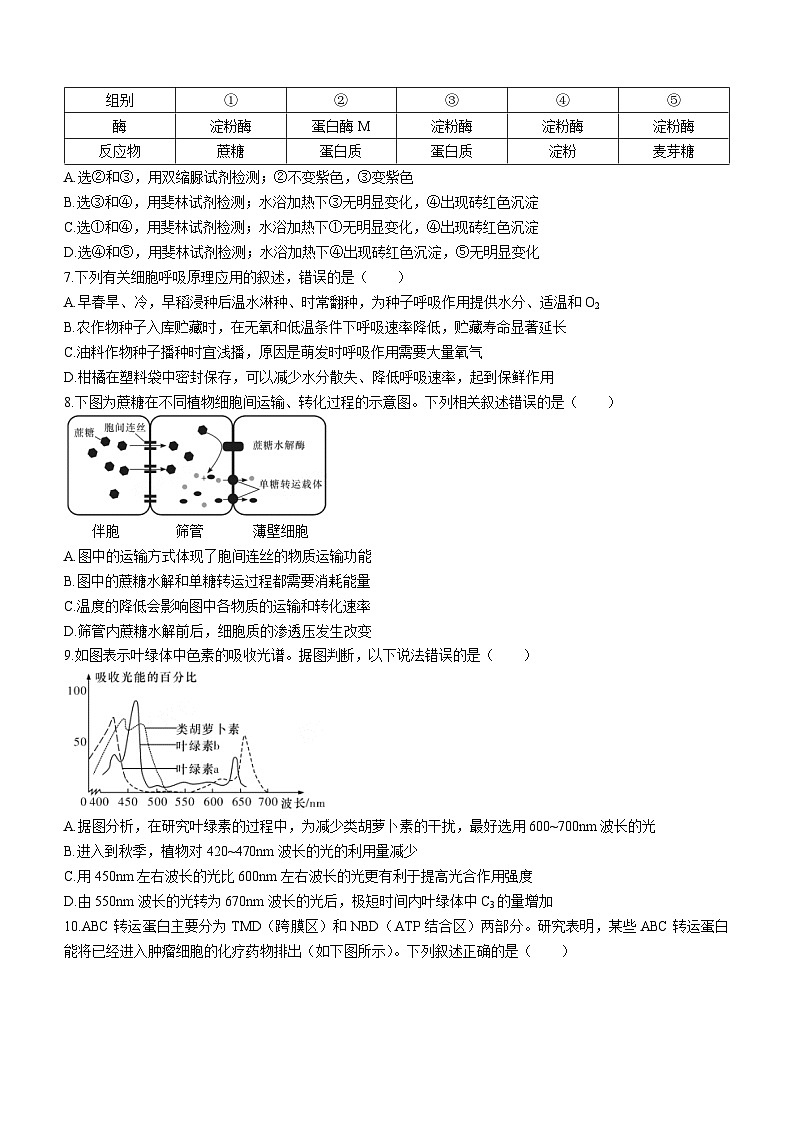 2024长沙长郡中学高一上学期选科适应性调研检测生物试题无答案02