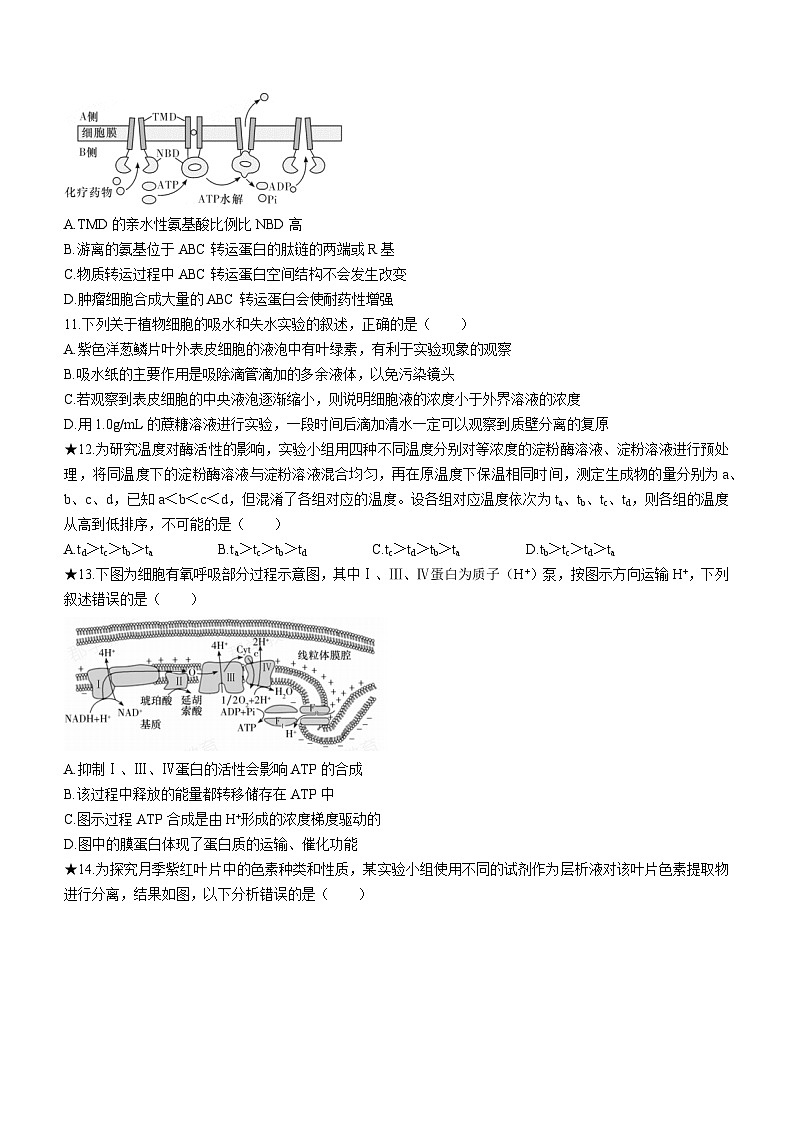 2024长沙长郡中学高一上学期选科适应性调研检测生物试题无答案03