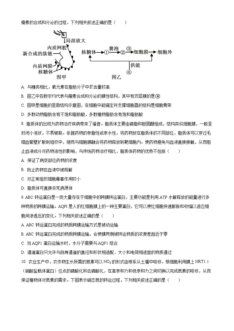 2024湖北省新高考联考协作体高一上学期12月联考生物试题含解析03