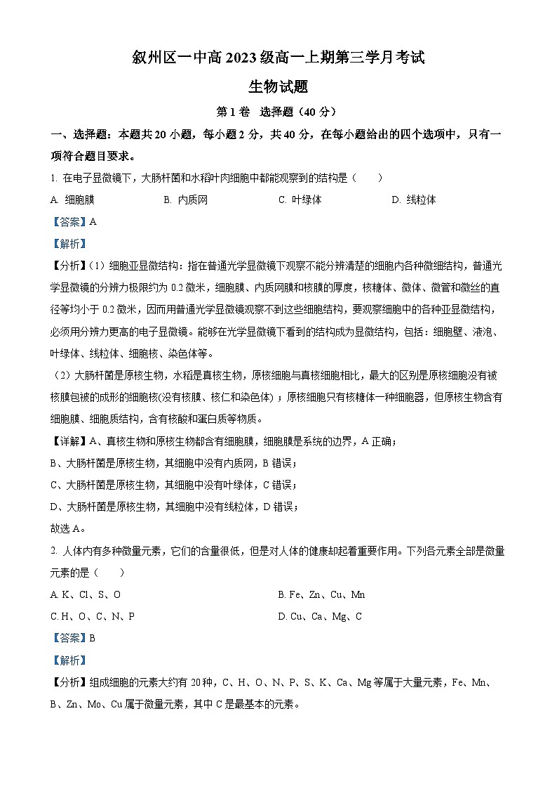 四川省宜宾市叙州区第一中学2023-2024学年高一12月月考生物试题（Word版附解析）01
